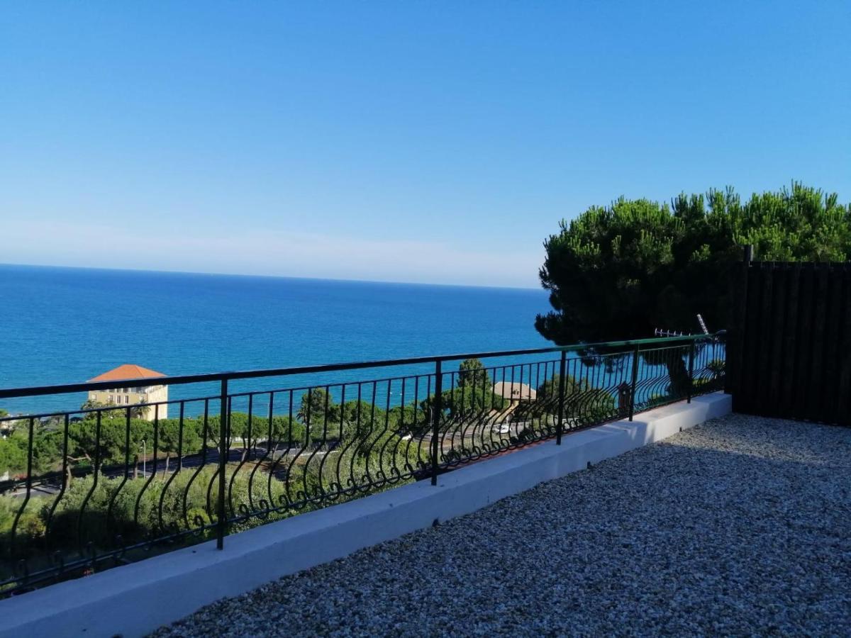 Agriturismo Un Mare Di Fiori 文蒂米利亚 外观 照片