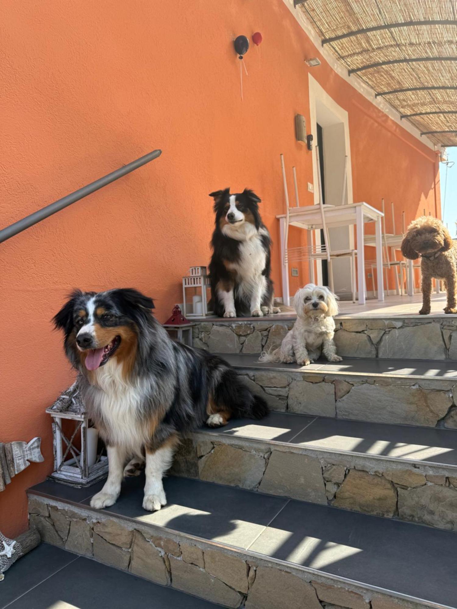 Agriturismo Un Mare Di Fiori 文蒂米利亚 外观 照片