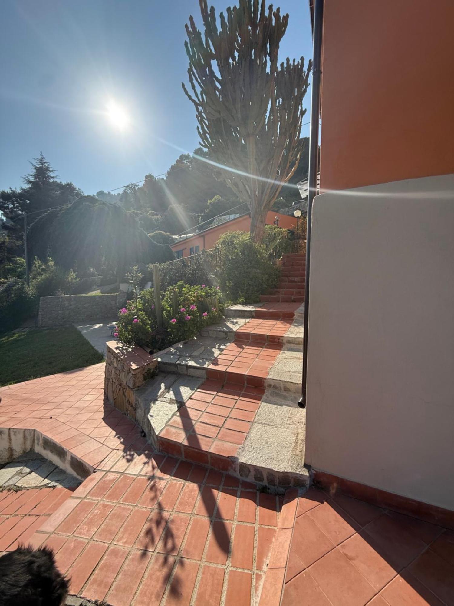 Agriturismo Un Mare Di Fiori 文蒂米利亚 外观 照片