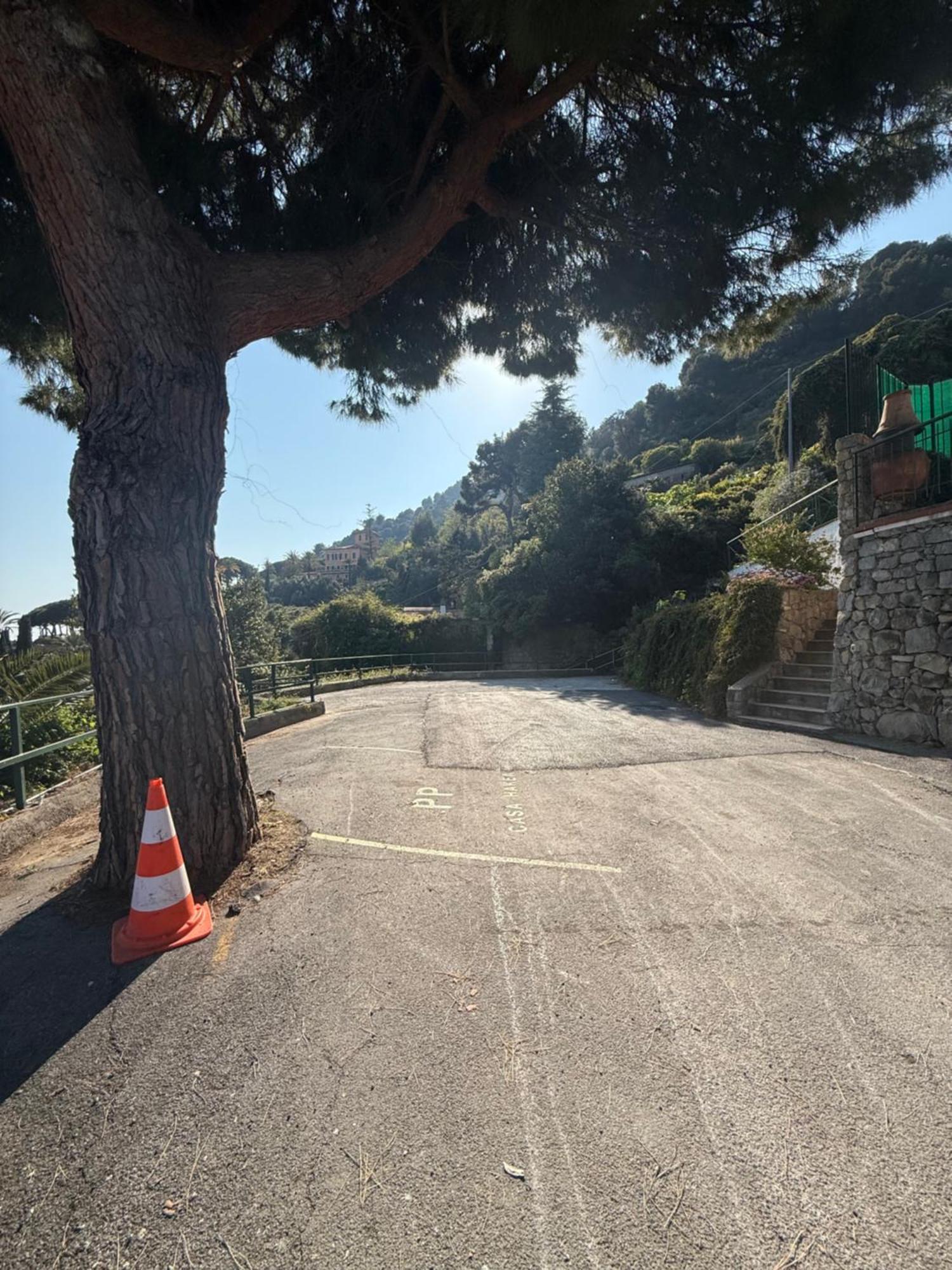 Agriturismo Un Mare Di Fiori 文蒂米利亚 外观 照片