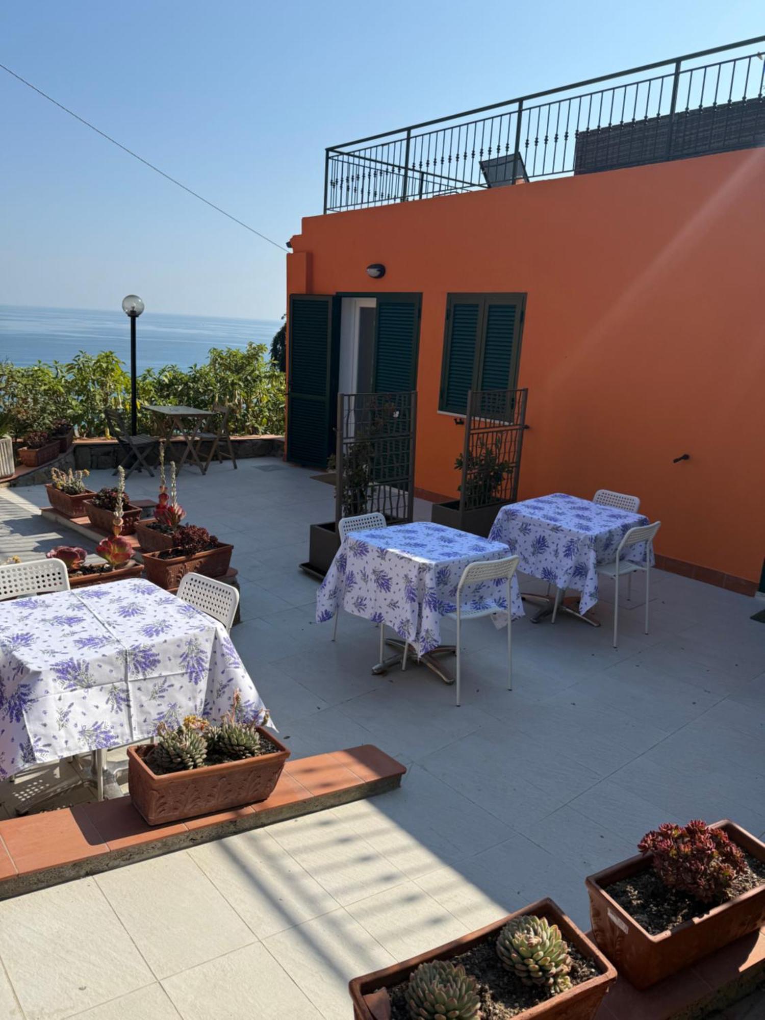Agriturismo Un Mare Di Fiori 文蒂米利亚 外观 照片