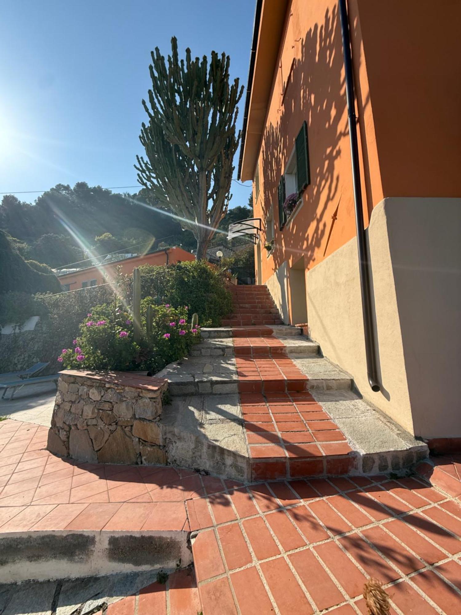 Agriturismo Un Mare Di Fiori 文蒂米利亚 外观 照片