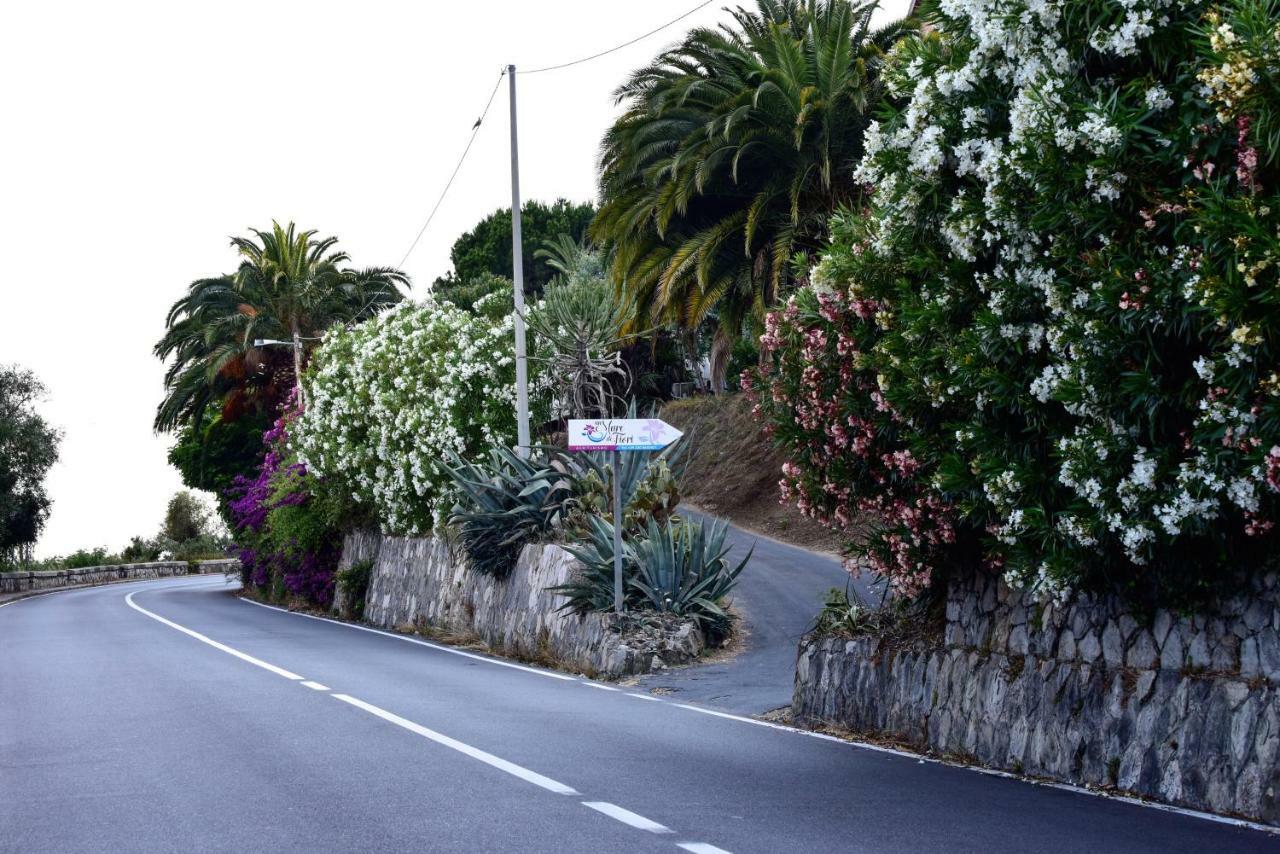 Agriturismo Un Mare Di Fiori 文蒂米利亚 外观 照片