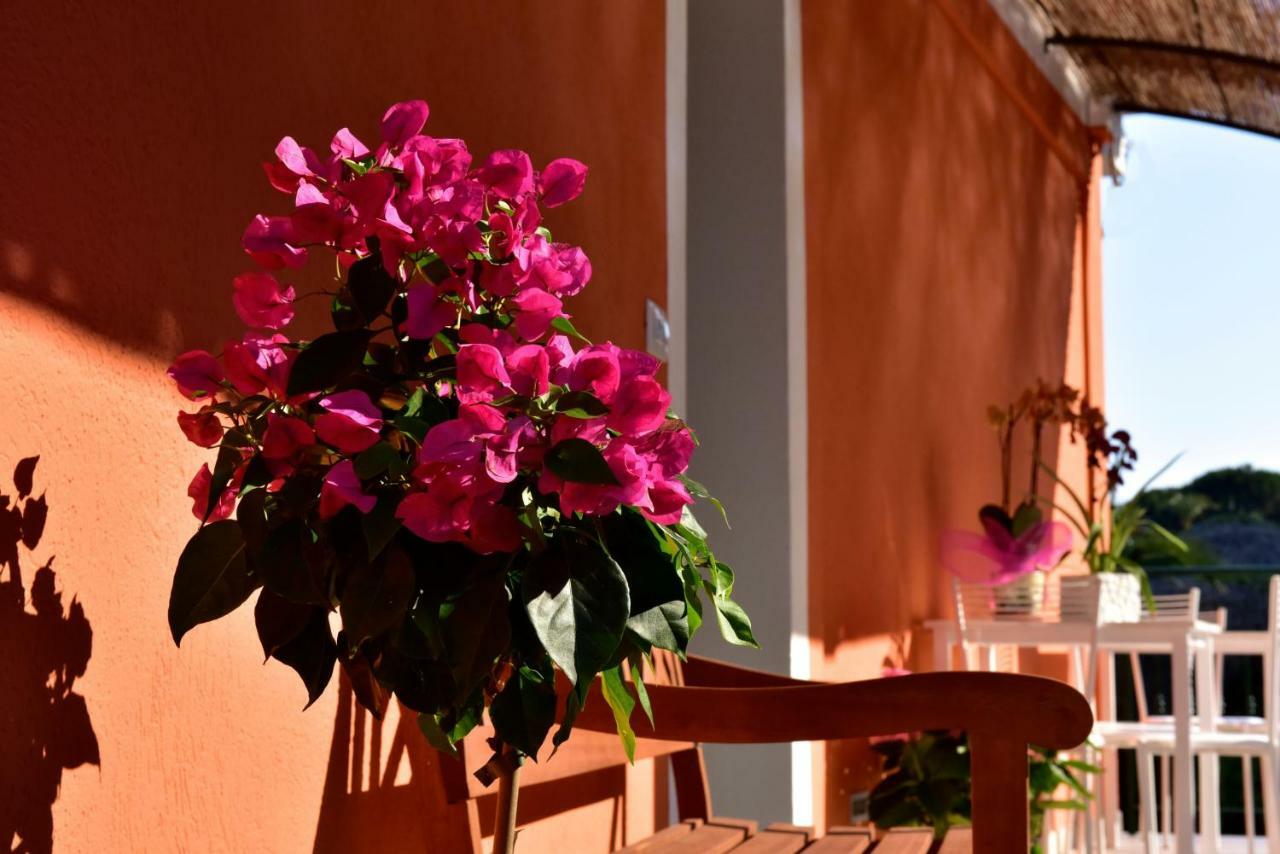 Agriturismo Un Mare Di Fiori 文蒂米利亚 外观 照片